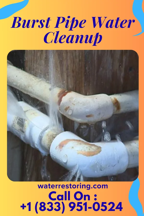 Burst Pipe Water Cleanup in High Point, NC