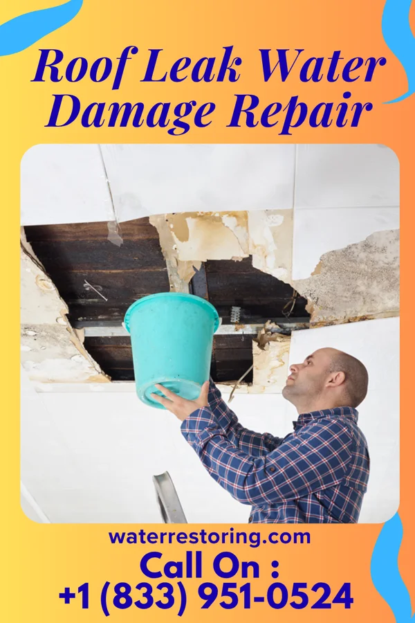 Roof Leak Water Damage Repair in High Point, NC