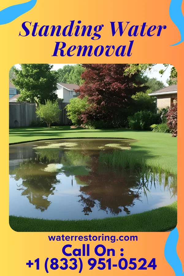 Standing Water Removal in High Point, NC
